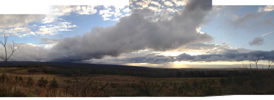 iPhone photography